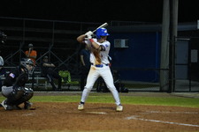 Enlarge photo 487