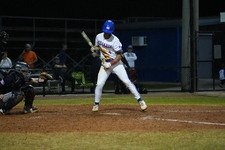 Enlarge photo 515