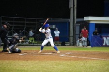 Enlarge photo 1003