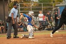 Enlarge photo 398