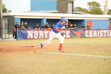 Enlarge photo 559