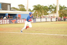 Enlarge photo 563