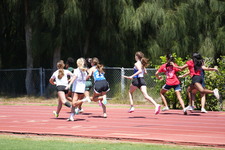 Enlarge photo 61