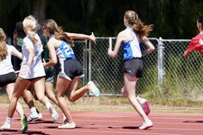 Enlarge photo 62