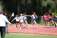 Enlarge photo 64