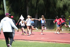Enlarge photo 65