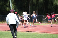 Enlarge photo 67