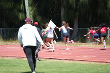 Enlarge photo 68
