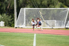 Enlarge photo 84