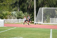 Enlarge photo 90