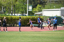 Enlarge photo 95
