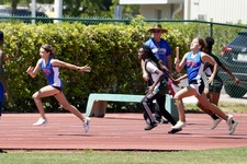Enlarge photo 96