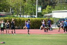Enlarge photo 99