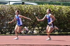 Enlarge photo 104