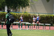 Enlarge photo 119