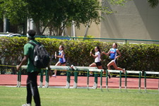 Enlarge photo 121