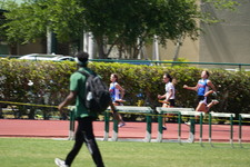 Enlarge photo 120