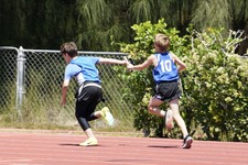 Enlarge photo 141