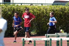Enlarge photo 152