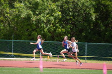 Enlarge photo 227