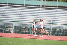 Enlarge photo 238