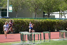 Enlarge photo 246