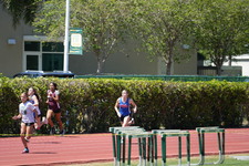Enlarge photo 248