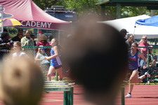 Enlarge photo 257