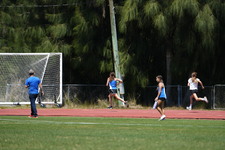 Enlarge photo 273