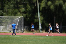 Enlarge photo 275