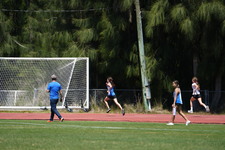 Enlarge photo 277