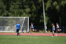 Enlarge photo 278