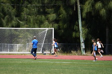Enlarge photo 279