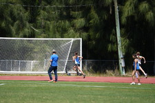 Enlarge photo 280
