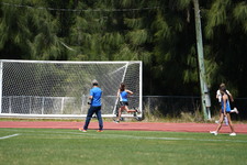 Enlarge photo 281