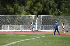 Enlarge photo 284