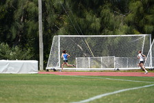 Enlarge photo 296