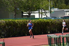 Enlarge photo 307