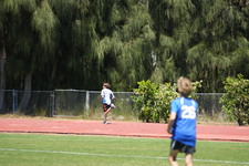 Enlarge photo 344