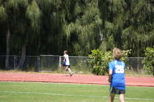 Enlarge photo 345