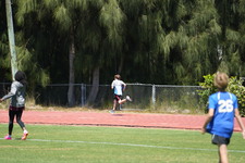 Enlarge photo 350