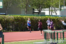 Enlarge photo 354