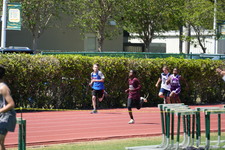 Enlarge photo 355