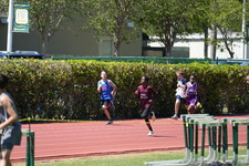Enlarge photo 356