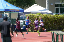 Enlarge photo 361