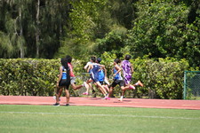 Enlarge photo 380