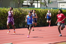 Enlarge photo 390