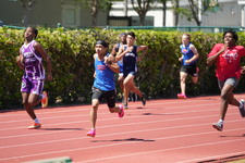 Enlarge photo 393