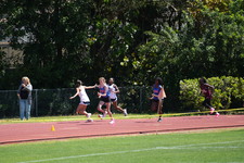 Enlarge photo 413