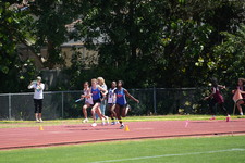 Enlarge photo 421